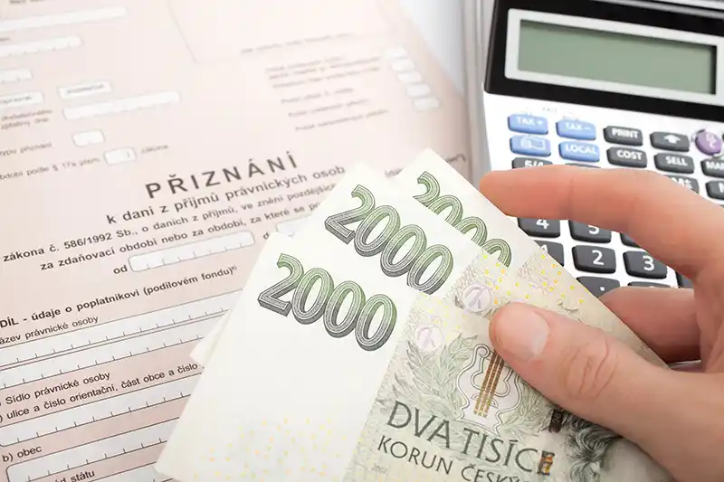 Vedení účetnictví, vedení daňové evidence
